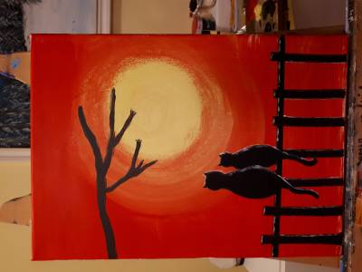 Poza Cats at the sunset