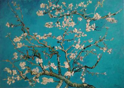 Poza Flori de migdal , dupa Van Gogh