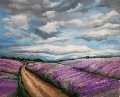 Poza Lavender field