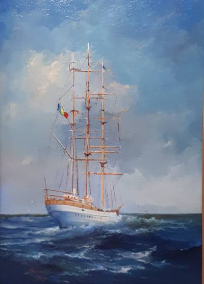 Poza NAVA SCOALA BRIC MIRCEA