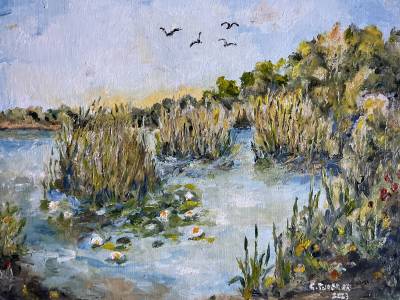 Poza Nuferi înfloriți