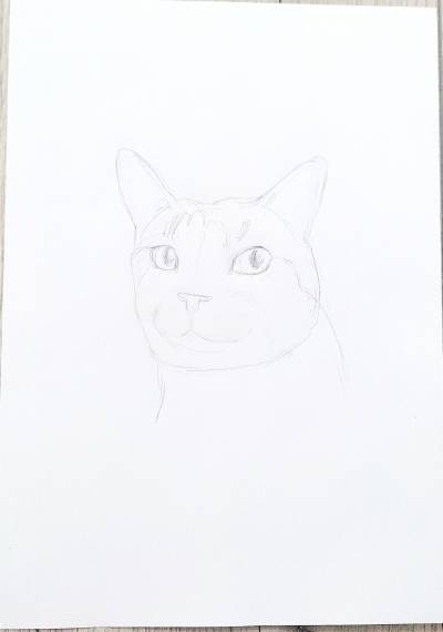 Poza Pisică desen