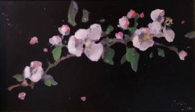 Poza Primavara florilor de mar