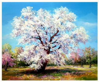 Poza UN GIND DE PRIMAVARA 