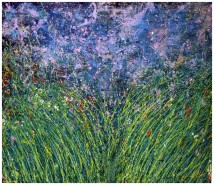 Picturi abstracte/ moderne ,,fugind prin iarba de nebun,,