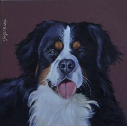 Picturi cu animale Ciobanesc de Berna