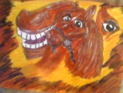 Picturi cu animale Umbra calului 
