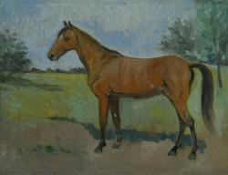 Picturi cu animale cal 22