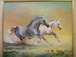 Picturi cu animale CAI GALOPAND