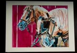 Picturi cu animale Belgienii