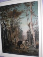 Picturi cu animale Doi cai