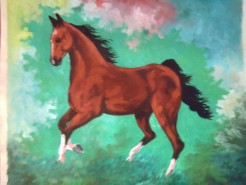 Picturi cu animale Galop