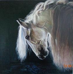 Picturi cu animale cal portret 
