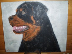 Picturi cu animale Rotti