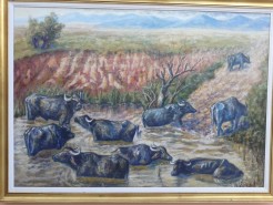 Picturi cu animale Parlament 90-93...