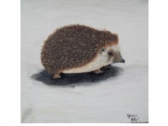 Picturi cu animale Arici pogonici