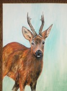 Picturi cu animale Caprior 1