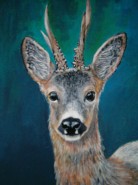 Picturi cu animale Portret de caprior 2