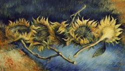 Picturi cu flori f. soarelui