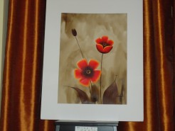 Picturi cu flori Din gradina