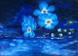 Picturi cu flori Feeling blue