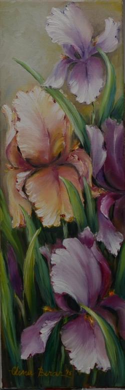 Picturi cu flori cununa de irisi