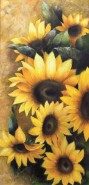Picturi cu flori Floarea soarelui