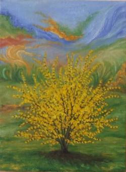 Picturi cu flori Tufa de forsythia (2)