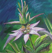 Picturi cu flori Monarda punctata