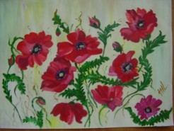 Picturi cu flori Cu gandul la vara