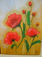Picturi cu flori Maci de gradina