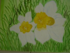 Picturi cu flori Pierdute in iarba