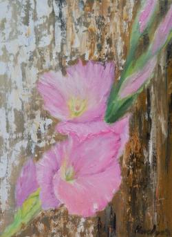 Picturi cu flori Gladiole roz