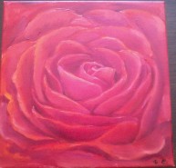 Picturi cu flori Rose - close up