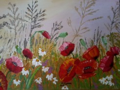 Picturi cu flori Camp cu maci