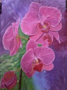 Picturi cu flori Orhidee