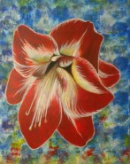 Picturi cu flori Crin