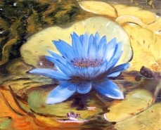 Picturi cu flori Floare albastra