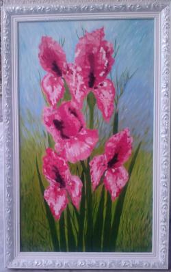 Picturi cu flori Irisi in roz