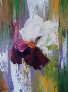 Picturi cu flori Iris 2