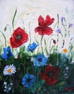 Picturi cu flori Flori de camp