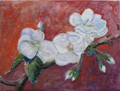 Picturi cu flori Flori de cires