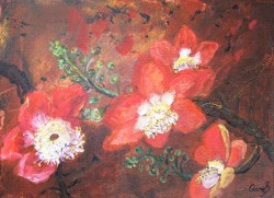 Picturi cu flori Flori exotice