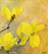 Picturi cu flori Magnolii galbene