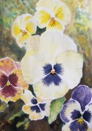 Picturi cu flori Panselute