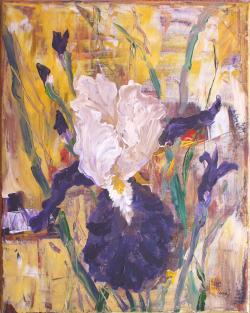 Picturi cu flori In gradina cu irisi