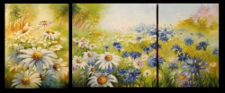 Picturi cu flori Cimp de margarete - final
