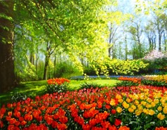 Picturi cu flori Parcul cu lalele