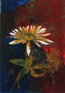 Picturi cu flori White flower between colors