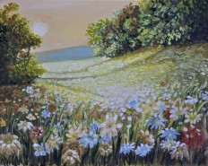 Picturi cu flori Apus pe camp